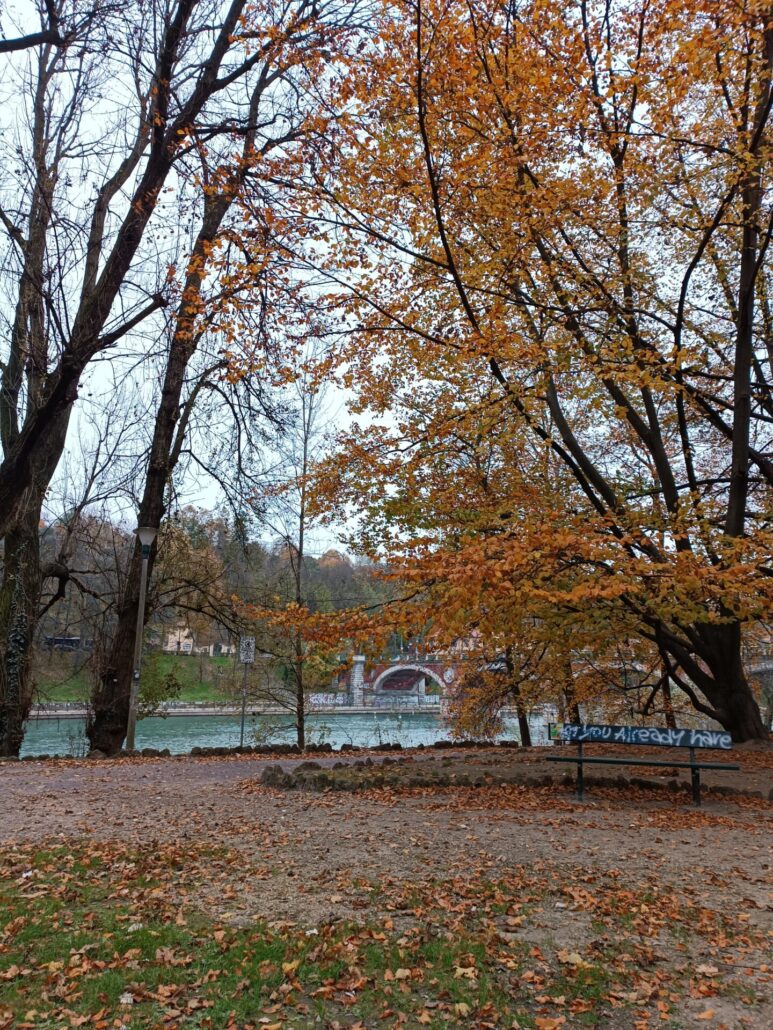 torino