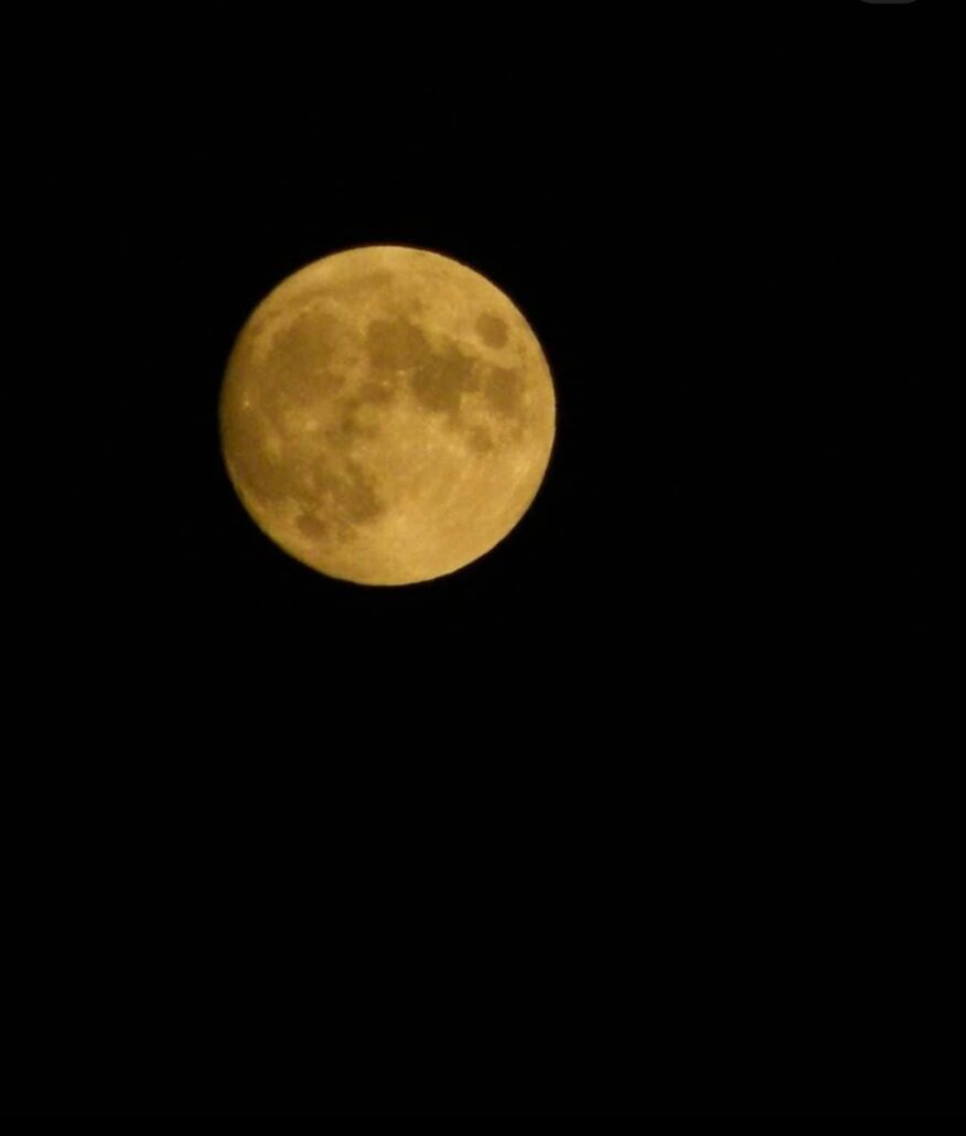 luna moon