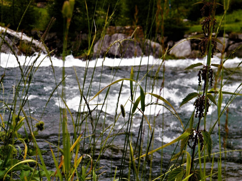 fiume natura