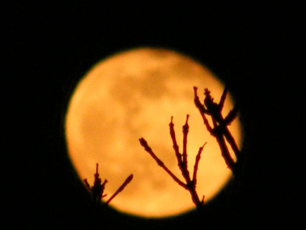 luna moon