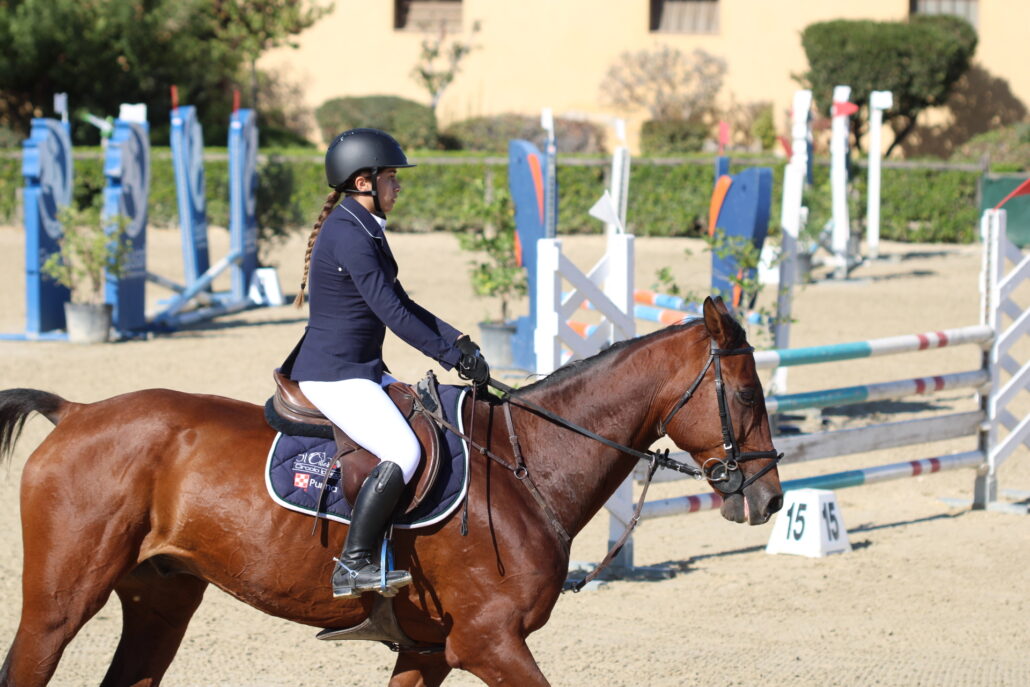 Cavallo
